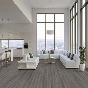 Happy Feet Pinnacle Collection: York 7" x 60" Luxury Vinyl Plank HF1211 Room Scene