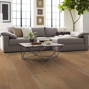 Shaw Castlewood Oak: Dynasty 9/16" x 7 1/2" Engineered Hardwood SW485 2047 Room Scene
