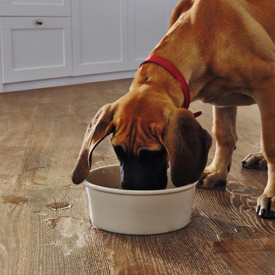 Karndean Van Gogh Glue Down: Hessian Oak Luxury Vinyl Plank VGW93T Room Scene