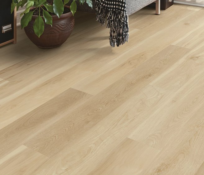 USFloors Coretec Plus HD: Blended Cocoon Engineered Luxury Vinyl Plank with Cork Comfort VV704-8005 Room Scene
