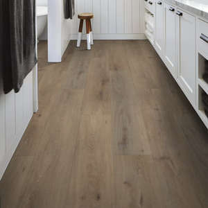 Shaw Floorte Paladin Plus: Wild Dunes Luxury Enhanced Vinyl Plank with Attached Pad 0278V 7089 Room Scene