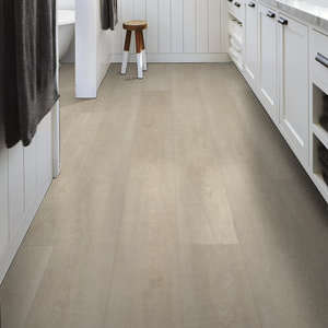 Shaw Floorte Paladin Plus: Silver Dollar Luxury Enhanced Vinyl Plank with Attached Pad 0278V 1055 Room Scene