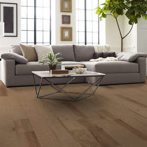 Shaw Epic Plus Riverstone: Sunkissed 3/8" x 6 3/8" Engineered Hickory Hardwood SW593 1008 Room Scene