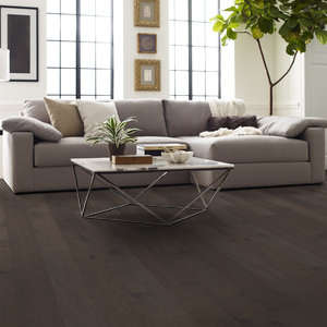 Shaw Epic Plus Riverstone: Sterling 3/8" x 6 3/8" Engineered Hickory Hardwood SW593 5021 Room Scene