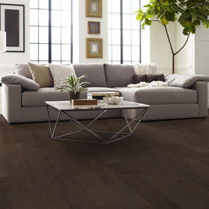 Shaw Epic Plus Riverstone: Espresso 3/8" x 6 3/8" Engineered Hickory Hardwood SW593 9012 Room Scene