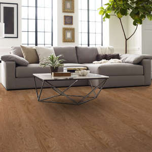 Shaw Epic Plus Albright Oak: Caramel 3/8" x 3 1/4" Engineered Hardwood SW581 223 Room Scene