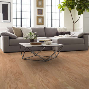 Shaw Epic Plus Albright Oak: Rustic Natural 3/8" x 3 1/4" Engineered Hardwood SW581 135 Room Scene