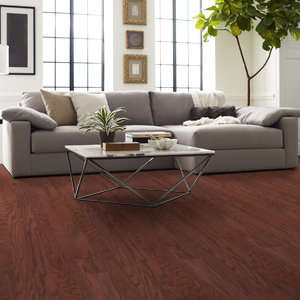 Shaw Epic Plus Albright Oak: Cherry 3/8" x 3 1/4" Engineered Hardwood SW581 947 Room Scene