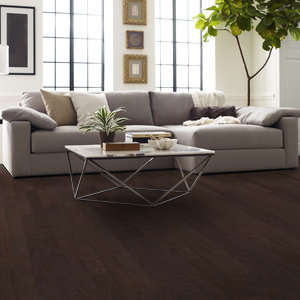 Shaw Epic Plus Albright Oak: Chocolate 3/8" x 3 1/4" Engineered Hardwood SW581 7011 Room Scene