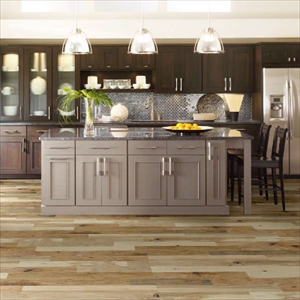 Shaw Epic Plus Northington Smooth: Canopy 1/2" x 5" Engineered Hardwood SW669 1032 Room Scene