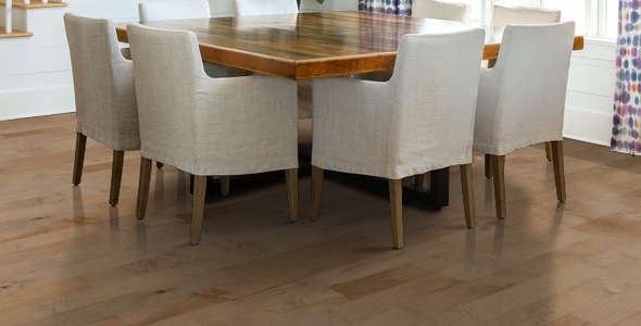 Shaw Epic Plus Yukon Maple: Gold Dust 3/8" x 5" Engineered Hardwood SW547 1001 Room Scene