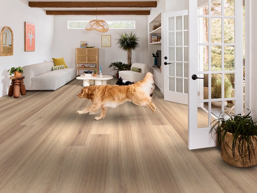 Shaw Pet Perfect Briard: Flax Oak Luxury Vinyl Plank With Attached Pad 3128V 02154 Room Scene