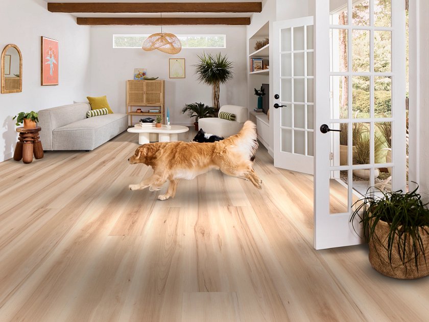 Shaw Pet Perfect Briard: Almond Maple Luxury Vinyl Plank With Attached Pad 3128V 02157 Room Scene