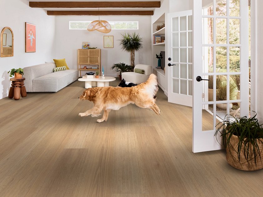 Shaw Pet Perfect Briard: Tusk Oak Luxury Vinyl Plank With Attached Pad 3128V 07388 Room Scene
