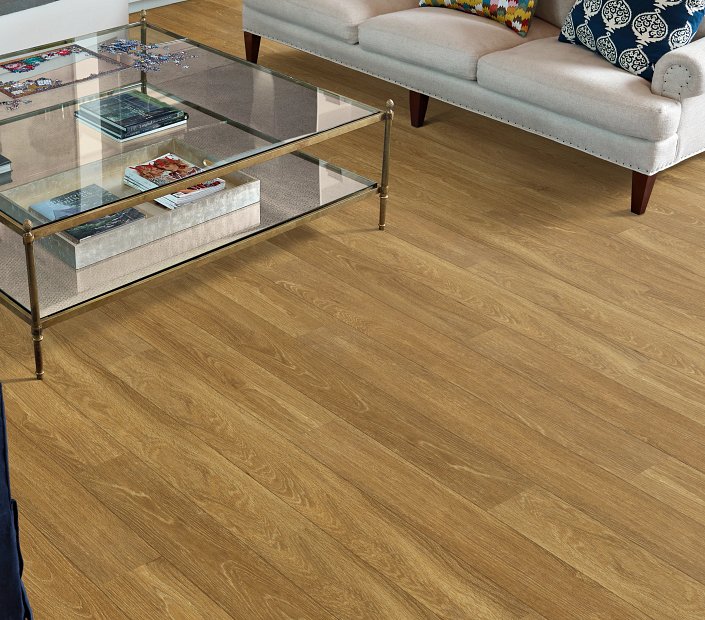 Shaw Philadelphia 5th and Main Symbiotic 12: Reed Luxury Vinyl Plank 5M302 00256 Room Scene