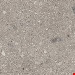 Magistrate 12" 24" AS1112241P