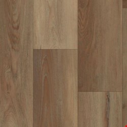 Happy Feet Pinnacle Collection: Argyll 7