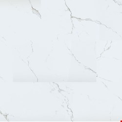 MS International Trecento: Calacatta Serra 12