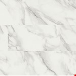 Calacatta Venosa Gold VTRCALVEGO12X24-5MM-12MIL