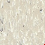 Starry Night 350002323