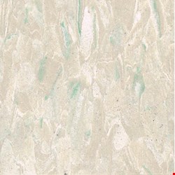 Tarkett Standard VCT II: Palm Vinyl Composite Tile 350002328