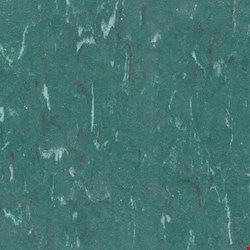 Tarkett Standard VCT II: Dark Forest Vinyl Composite Tile 350002524