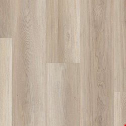 Shaw Endura Click Plus 12 Mil: Lighthouse Luxury Enhanced Vinyl Plank 0736V 5091