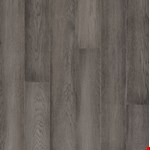 Cool Gray EHWR54L85S