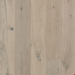 Mannington Park City: Wintry 1/2