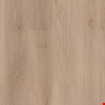 Springfield VV017-01020