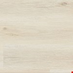 Flagstaff VV017-01023