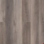 Berkshire Elm VV488-02097