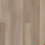 Southampton VV488-02099