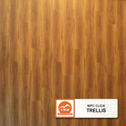 LW Mountain Hemyock: Trellis 7