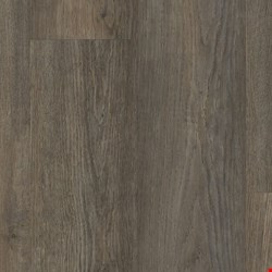 Happy Feet Rescue Collection: Lake Placid 7