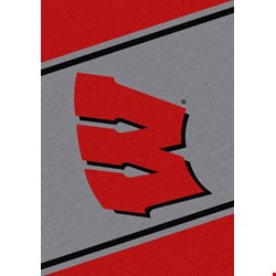 Milliken College Team Spirit (NCAA) Wisconsin 45288 Spirit Rectangle (4000019298) 7'8