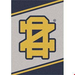 Milliken College Team Spirit (NCAA-SPT) Notre Dame 45881 Spirit Rectangle (4000053232) 2'8