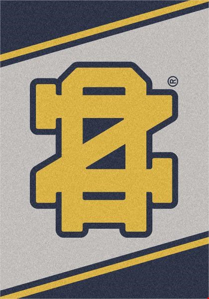 Milliken College Team Spirit (NCAA-SPT) Notre Dame 45881 Spirit Rectangle (4000053232) 2'8" x 3'10" Area Rug