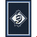 (4000050021) 3'10" 5'4"