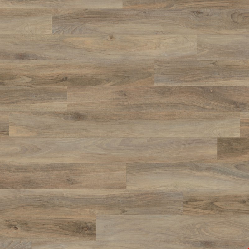 Karndean Opus Glue Down: Weathered Elm Luxury Vinyl Plank WP511