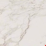 Carrara 24" 24" Polished Tile NPIECAR2424P-N