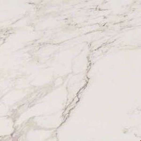 MS International Pietra: Carrara 24" x 24" Polished Porcelain Tile NPIECAR2424P-N
