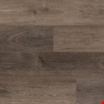 Plymouth Brown RC309