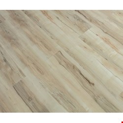 Casabella ScubaSeal Plank: Venice Beach 7