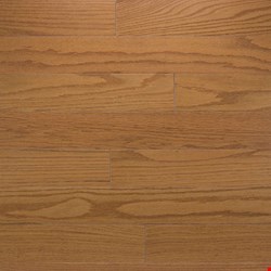Somerset Color Strip Collection: Golden Oak 3/4