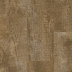 Armstrong Natural Creations Arbor Art with Diamond 10 Technology: City Mill Sunbeam 9