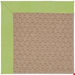 Canvas Parrot (247) Rectangle 8' 10'