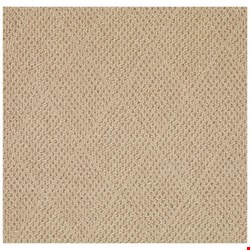 Capel Rugs Creative Concepts Cane Wicker - Rectangle 7'0