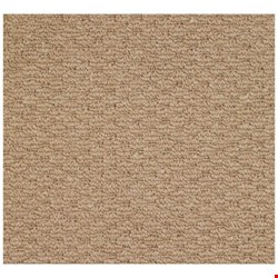 Capel Rugs Creative Concepts Raffia - Rectangle 3'0
