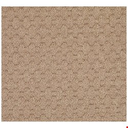 Capel Rugs Creative Concepts Grassy Mountain - Octagon 4'0